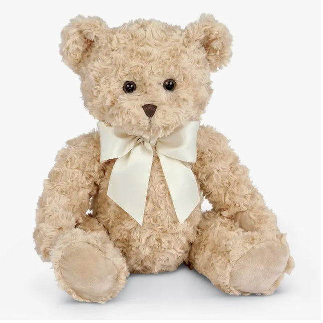 Tate the Teddy Bear image 0