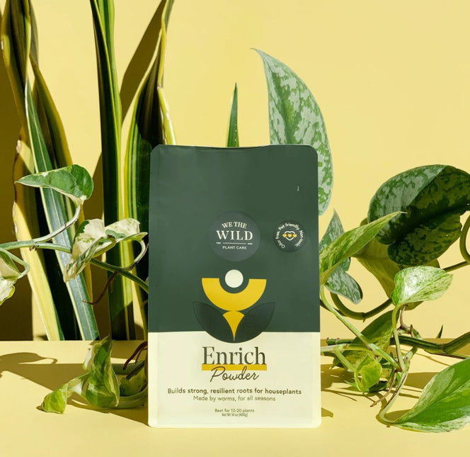 Enrich Powder image 0
