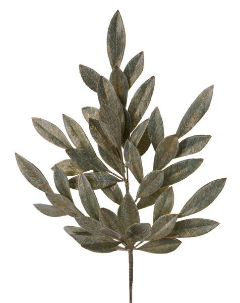 Sage/Gold Brushed Bay Leaf Spray image 0