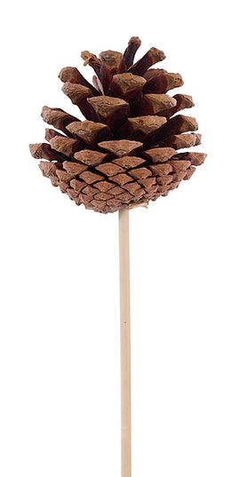 1.75"-2.75"L Pinecone W/7"L Pick