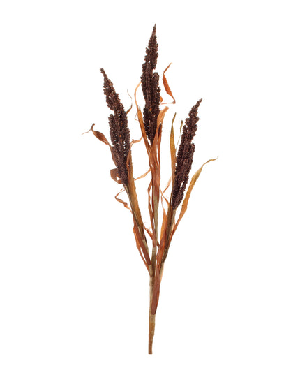 Astilbe Grass Spray 25"