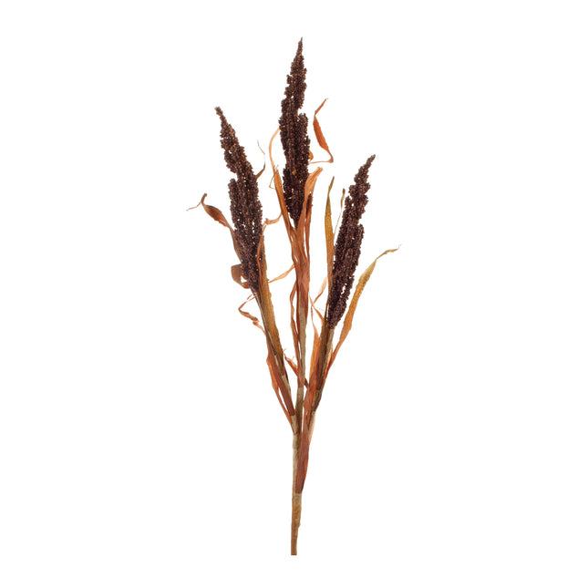 Astilbe Grass Spray 25"