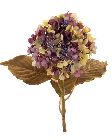 Hydrangea 21"