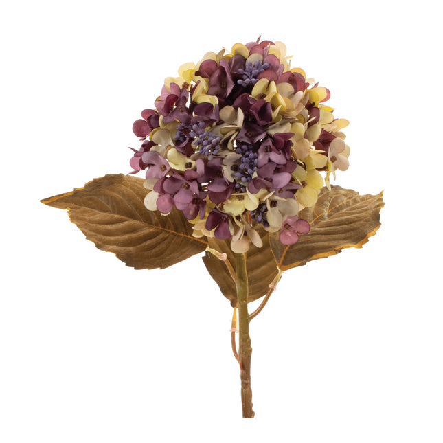 Hydrangea 21"