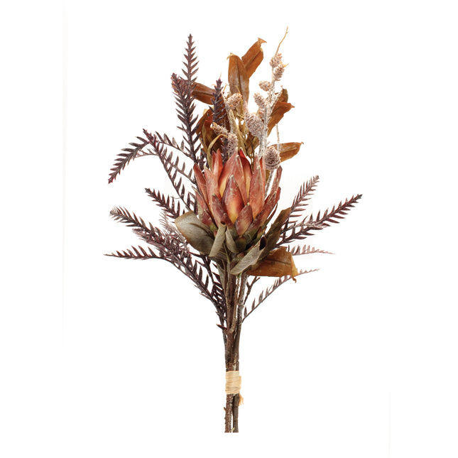 Mixed Protea Bundle 33"