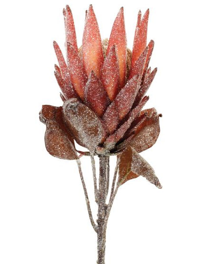 Protea Stem 29"