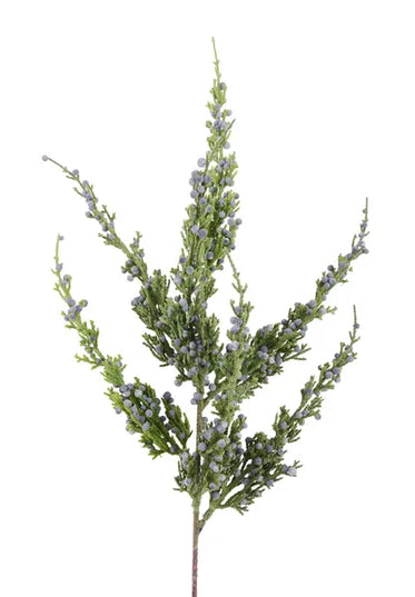 22"L Monterrey Cypress Spray