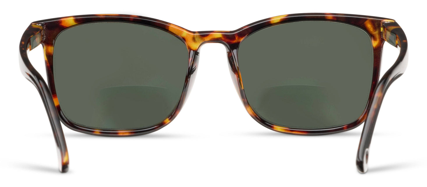 Mateo (Sunglasses) By Peepers