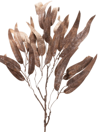 Eucalyptus Leaf Spray