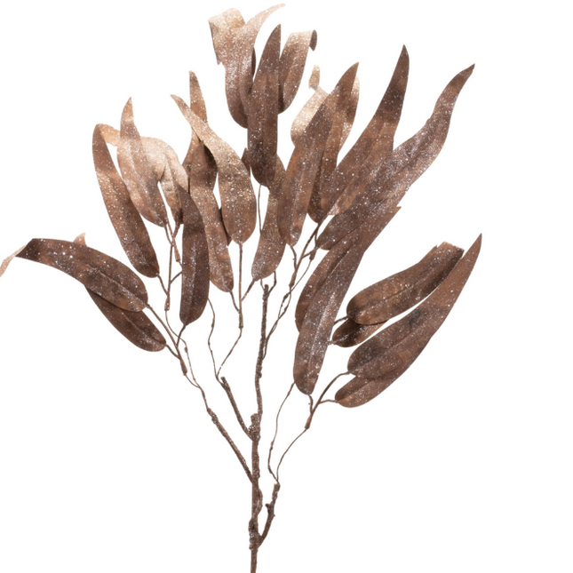 Eucalyptus Leaf Spray