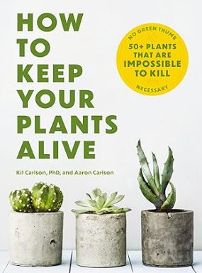How To Keep Your Plants Alive