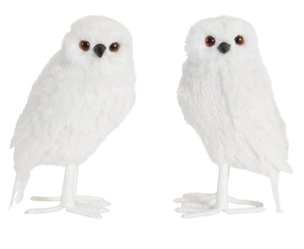 Assorted Owls