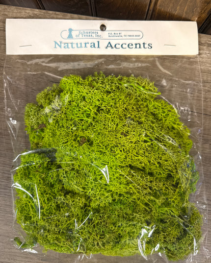 Birdhouse XL 6 Hole