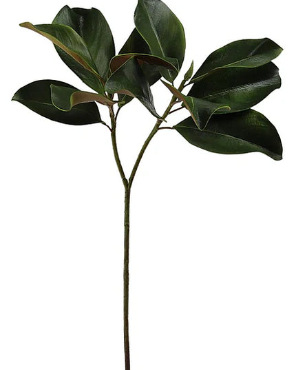 28"L Magnolia Leaf Spray