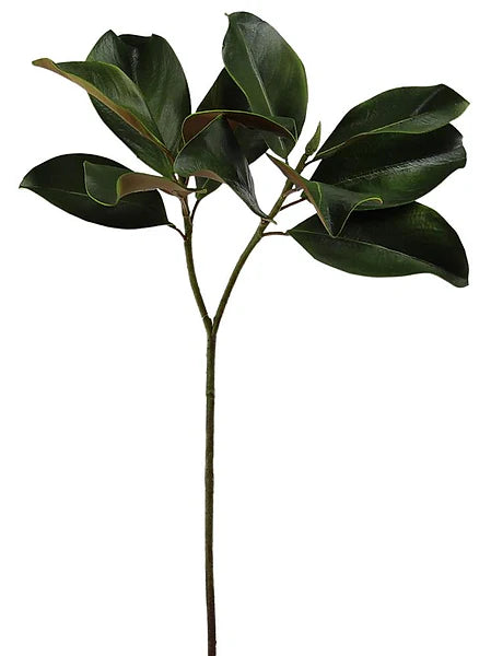 28"L Magnolia Leaf Spray
