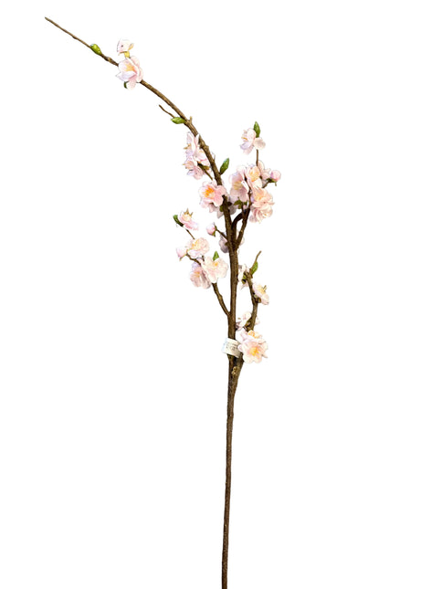 Cherry Blossom Branch Pink