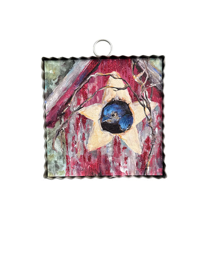 Mini Gallery Blue Jay Star