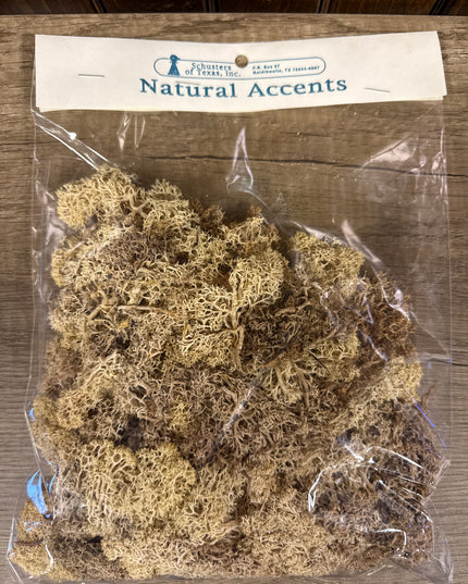 Reindeer Moss By Schuester's