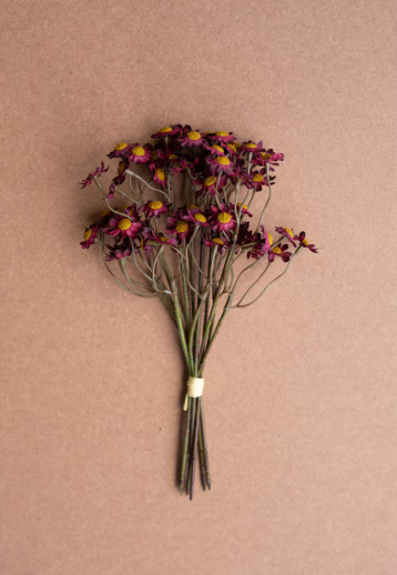 Chamomile Bundle 6 stems