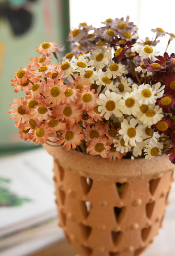 Chamomile Bundle 6 stems