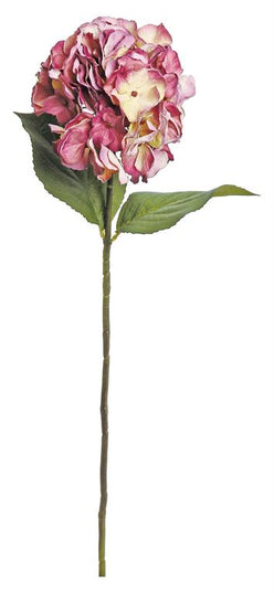 Vintage Hydrangea Vanilla/Purple