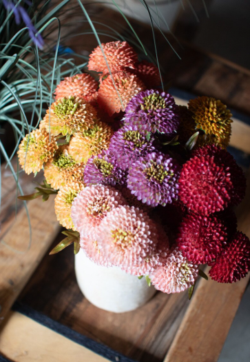 Bundle of 7 Artificial Ball Dahlias