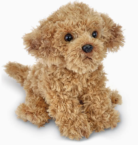 Doodles the Labradoodle