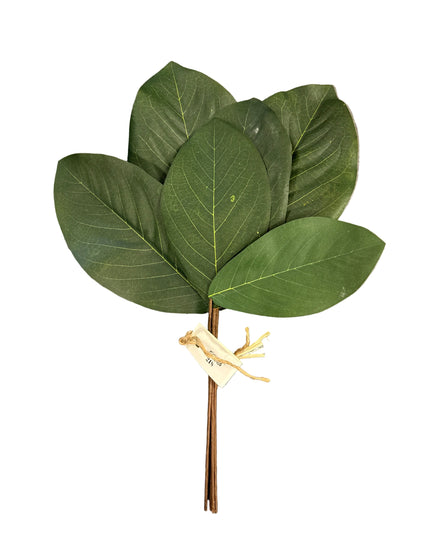 Magnolia Leaves Bundle