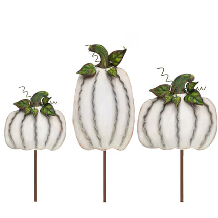 Ribbon Pumpkins Cream