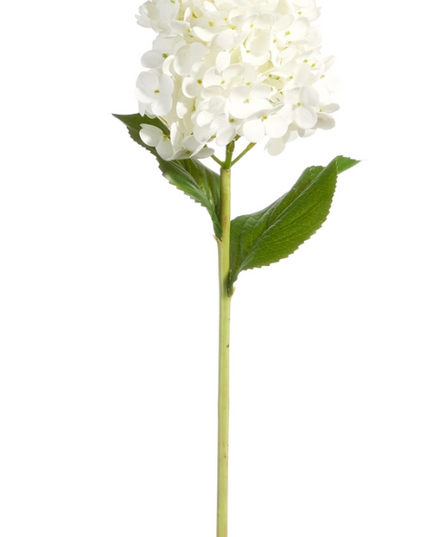 Real Touch White Cone Hydrangea Stem