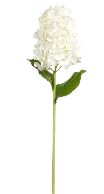 Real Touch White Cone Hydrangea Stem