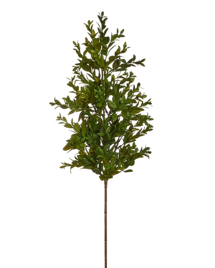 24" Boxwood Branch