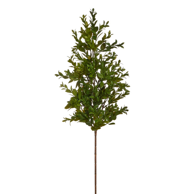 24" Boxwood Branch