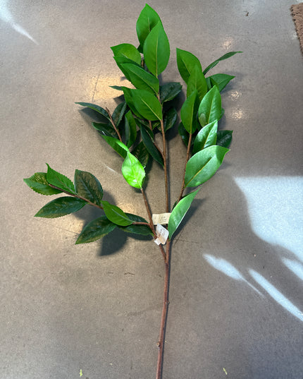 Salal Greenery Spray