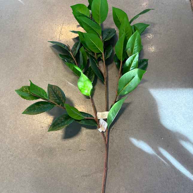 Salal Greenery Spray