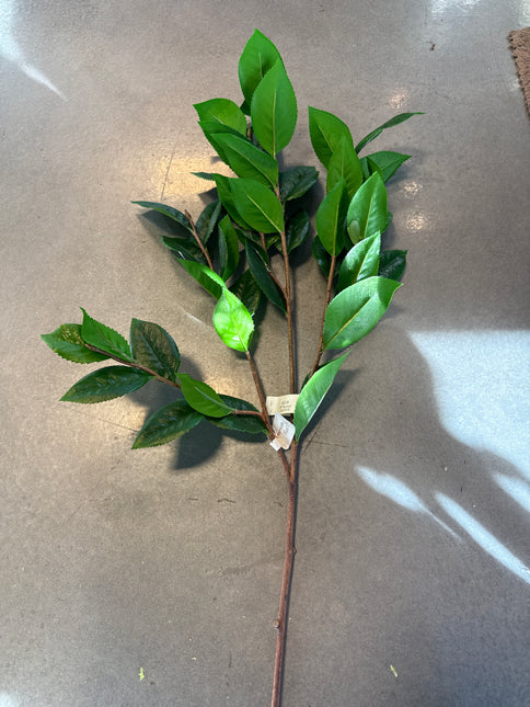 Salal Greenery Spray