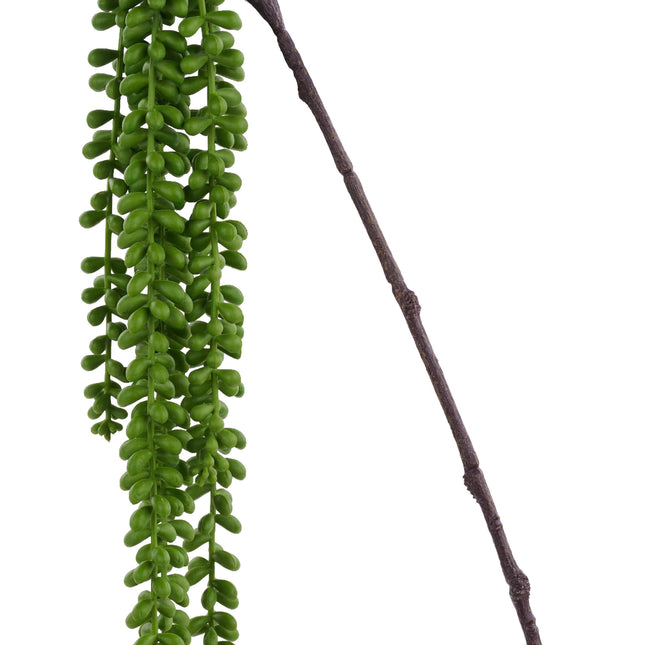 30" Baby Tears Spray