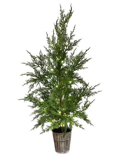 Small Chrsitmas Tree With Lights