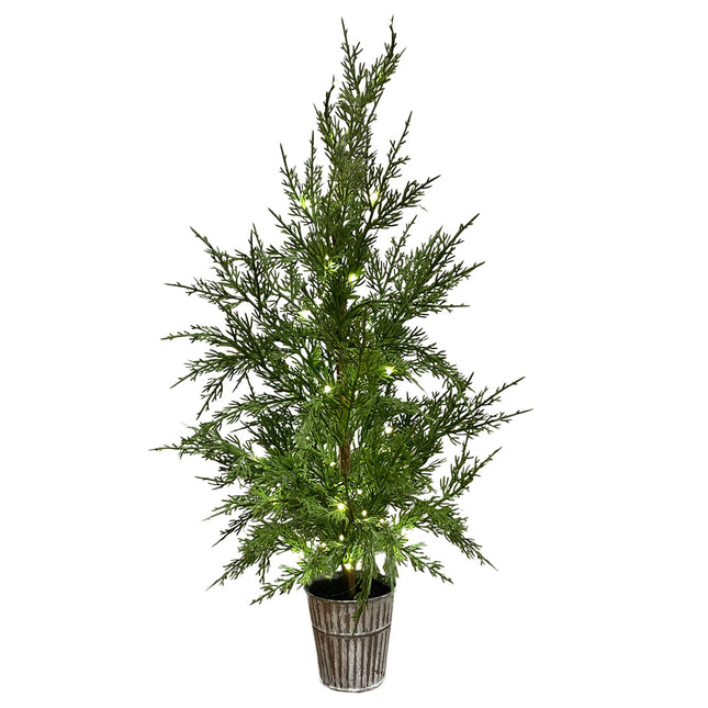 Small Chrsitmas Tree With Lights