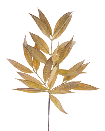 White Willow Spray