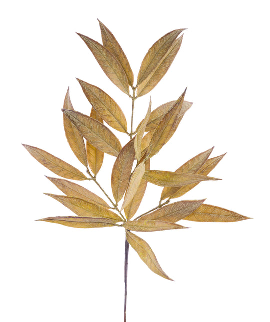 White Willow Spray