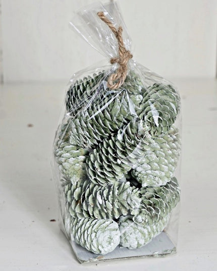 Mix Bag of Pinecones - Green
