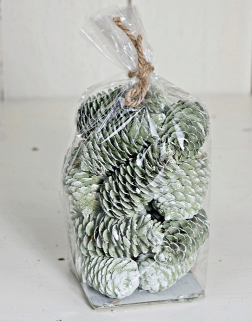 Mix Bag of Pinecones - Green