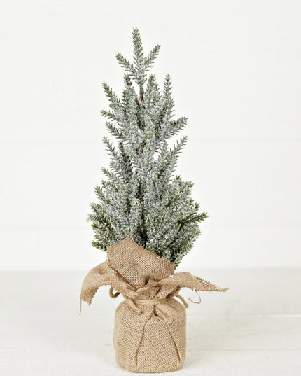 16" Snowy Blue Cypress Pine Tree