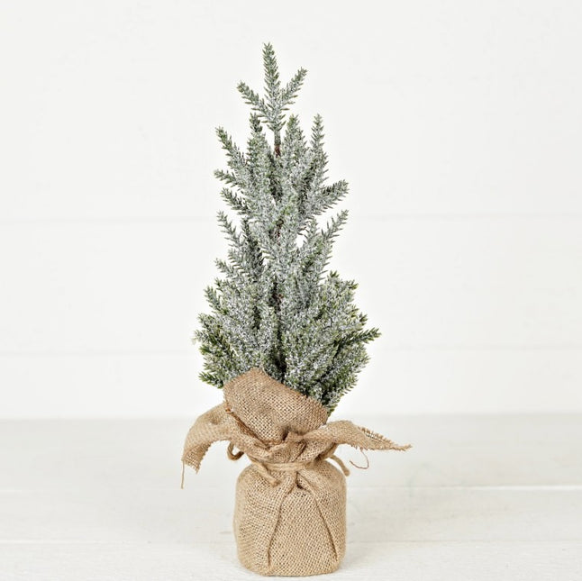 16" Snowy Blue Cypress Pine Tree