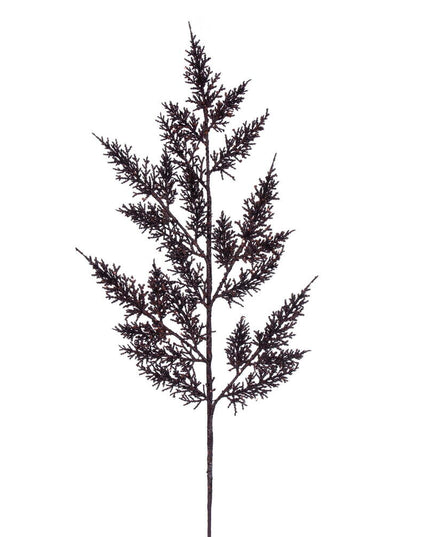 Chocolate Onoclea Glitter Wild Huck Spray Bag of 6