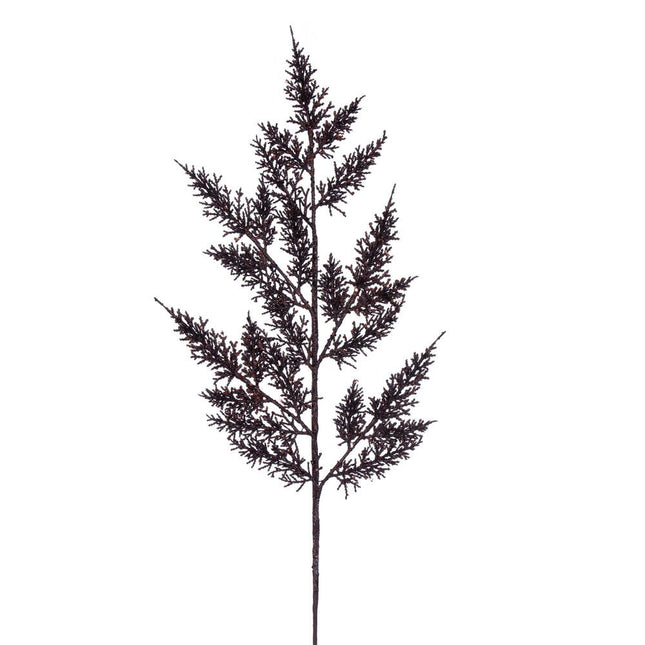 Chocolate Onoclea Glitter Wild Huck Spray Bag of 6