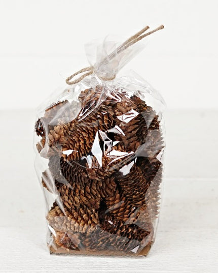 Mix Bag of Birchcones