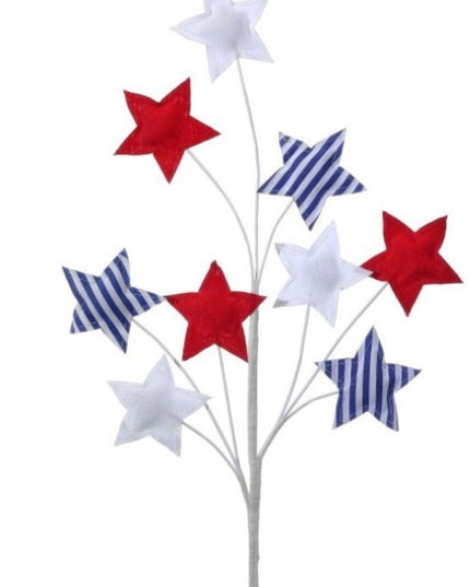 24" Americana Star Spray