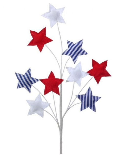 24" Americana Star Spray